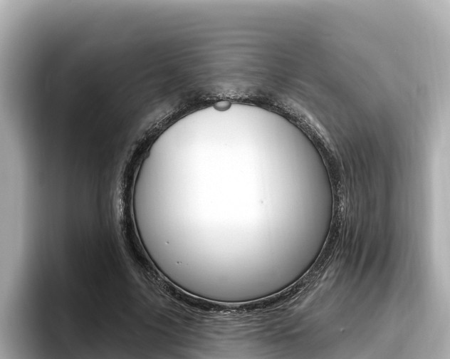 X0000096680635200802051030