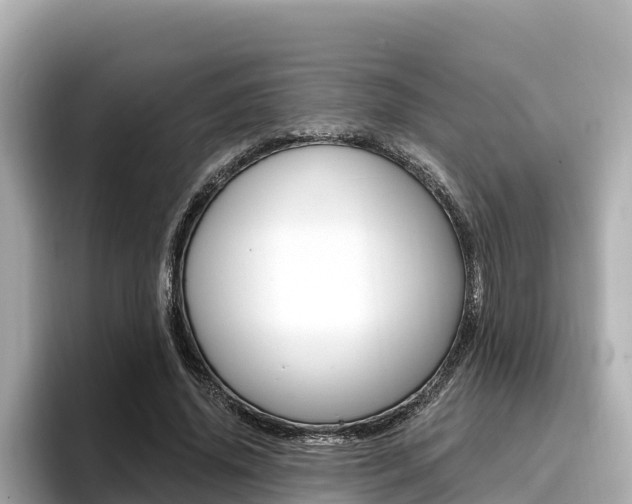 X0000096680636200802051030