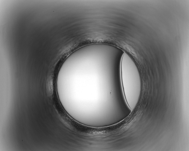 X0000096680638200802051030