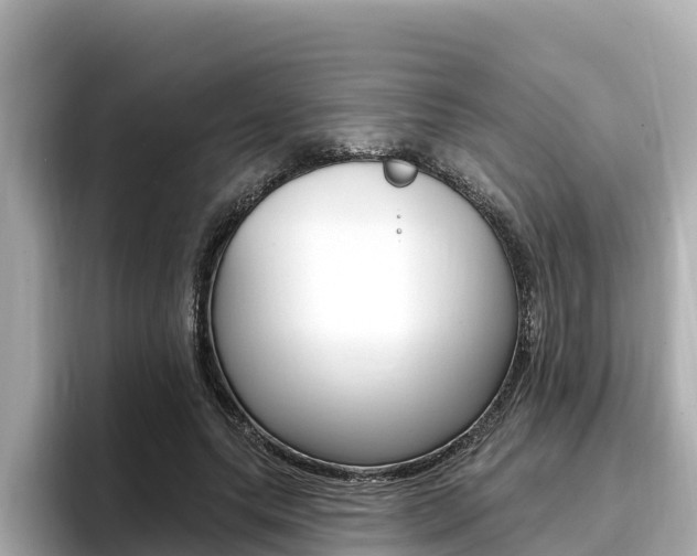 X0000096680639200802051030