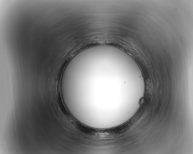 X0000096680650200802051031