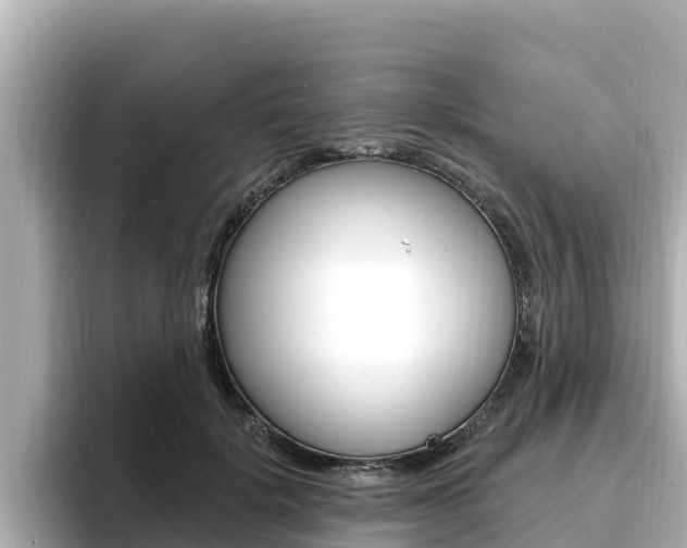 X0000096680652200802051031