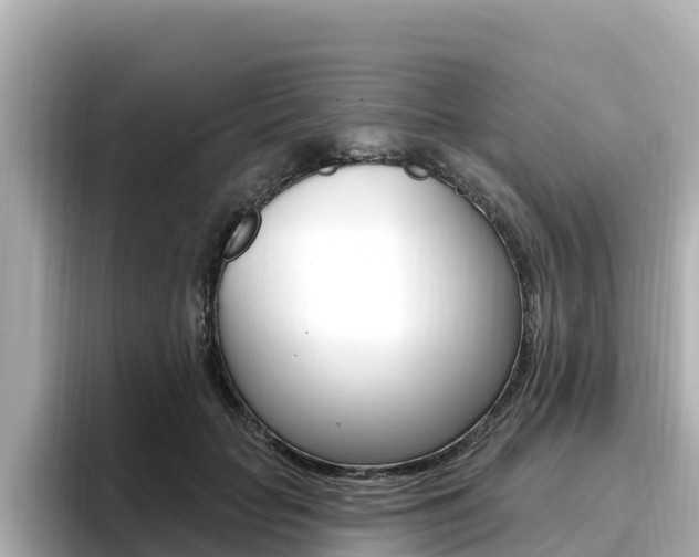 X0000096680653200802051031