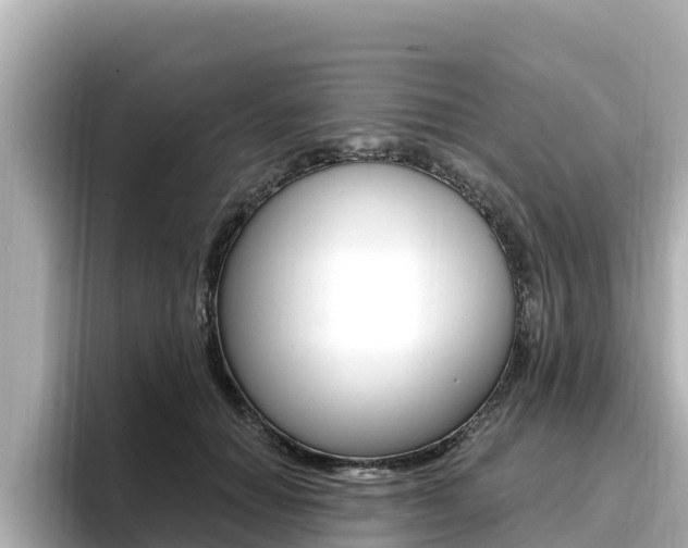 X0000096680654200802051031