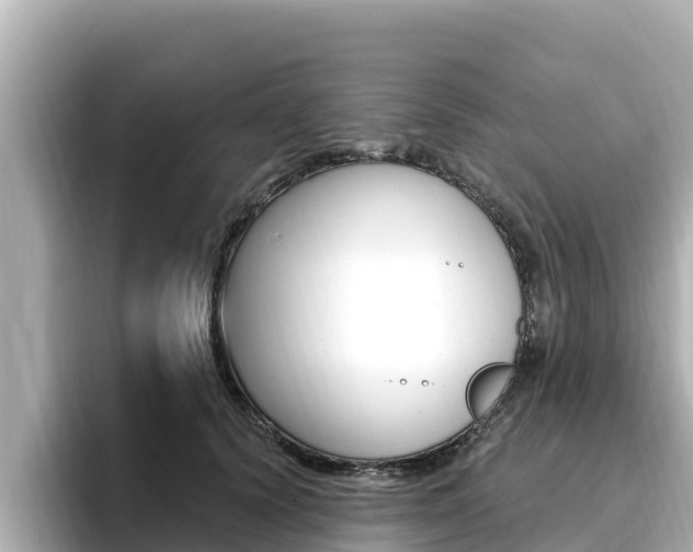 X0000096680656200802051031