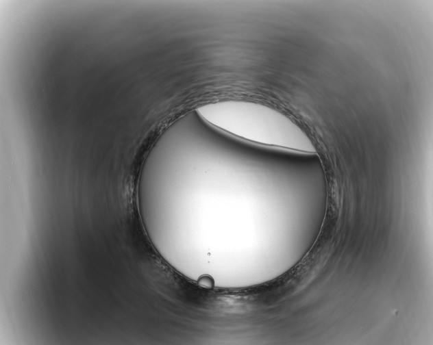 X0000096680657200802051031
