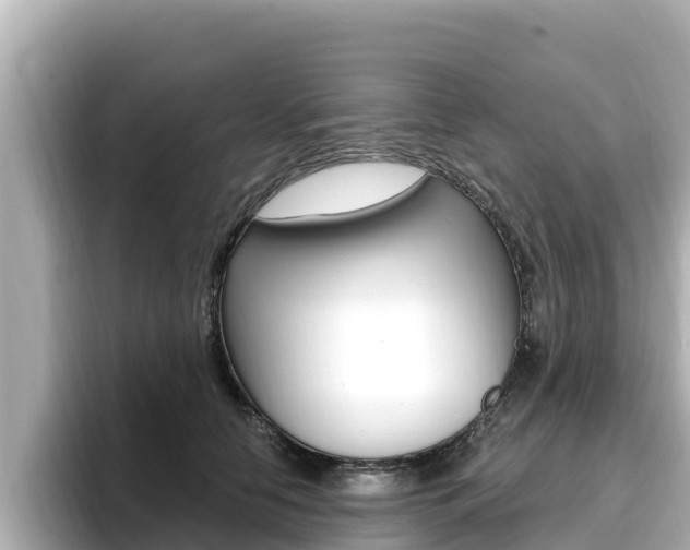 X0000096680658200802051031