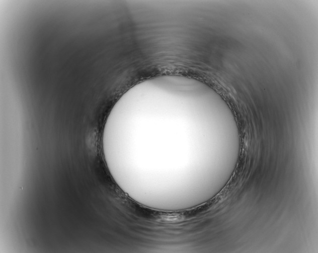 X0000096680659200802051031