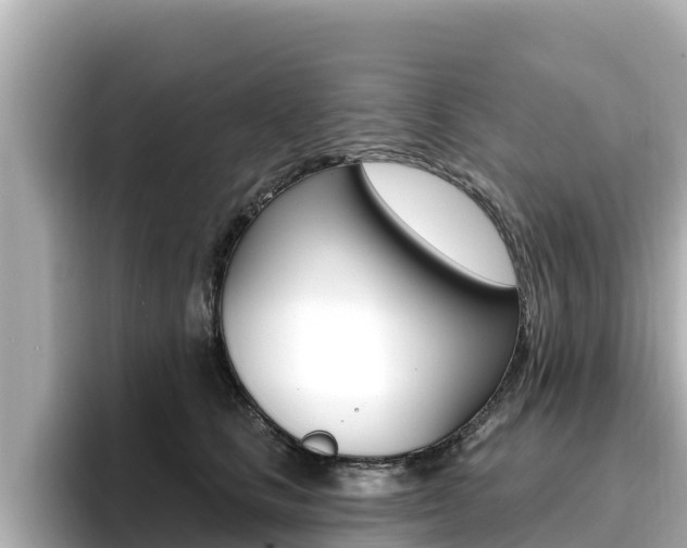 X0000096680661200802051031