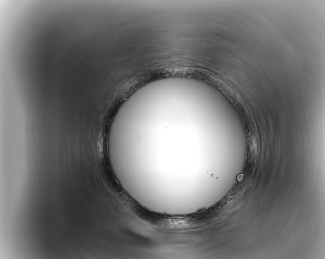 X0000096680668200802051031