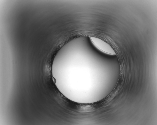 X0000096680669200802051031