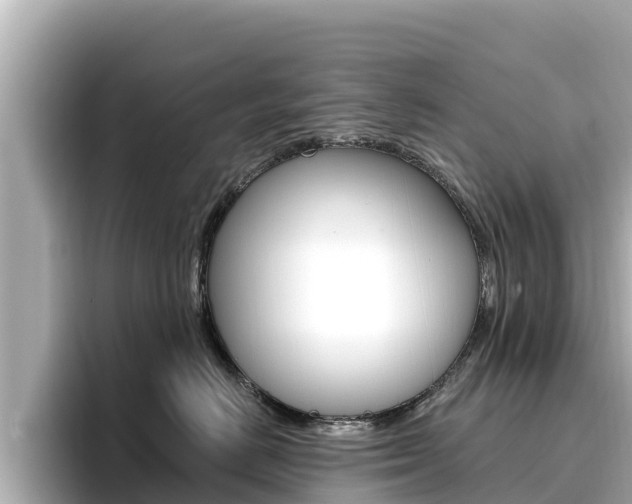X0000096680670200802051031