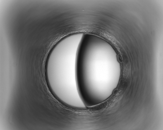 X0000096680673200802051030