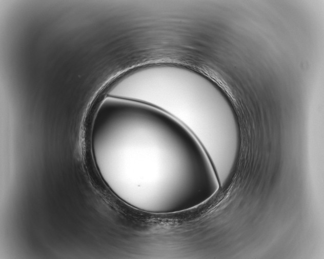 X0000096680676200802051030