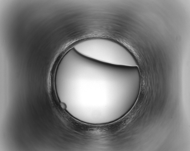 X0000096680678200802051030