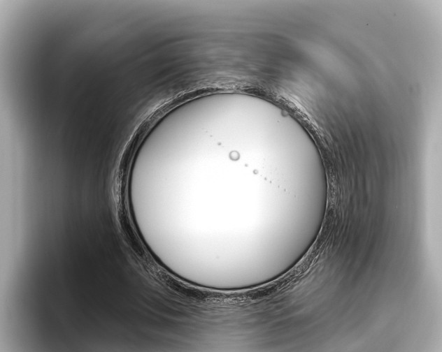 X0000096680679200802051030