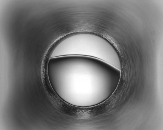 X0000096680680200802051030