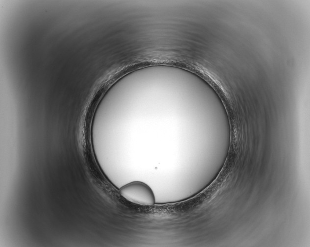 X0000096680682200802051030