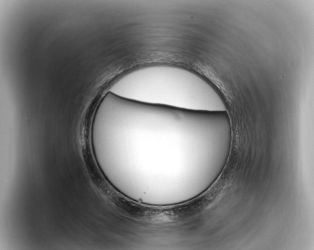 X0000096680683200802051030