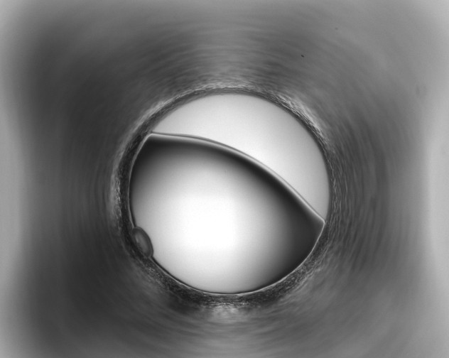 X0000096680684200802051030