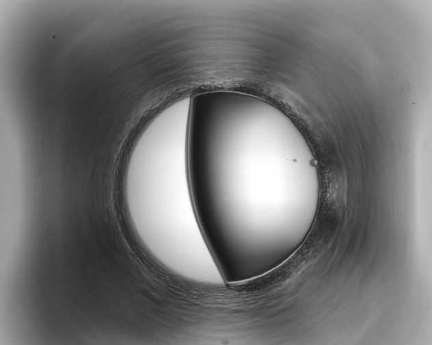 X0000096680685200802051030