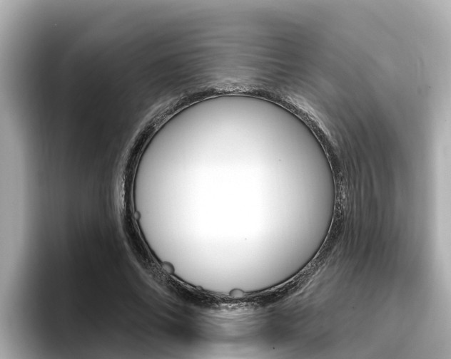 X0000096680686200802051030