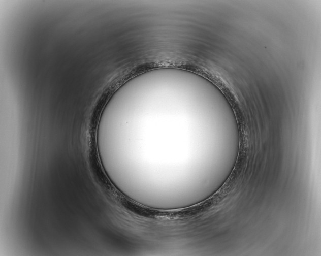 X0000096680690200802051030