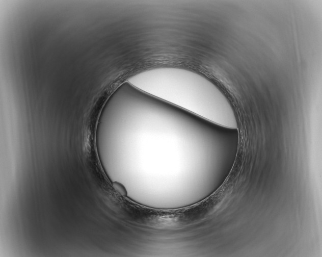 X0000096680692200802051030