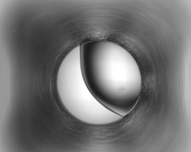 X0000096680693200802051030