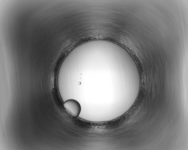 X0000096680694200802051030