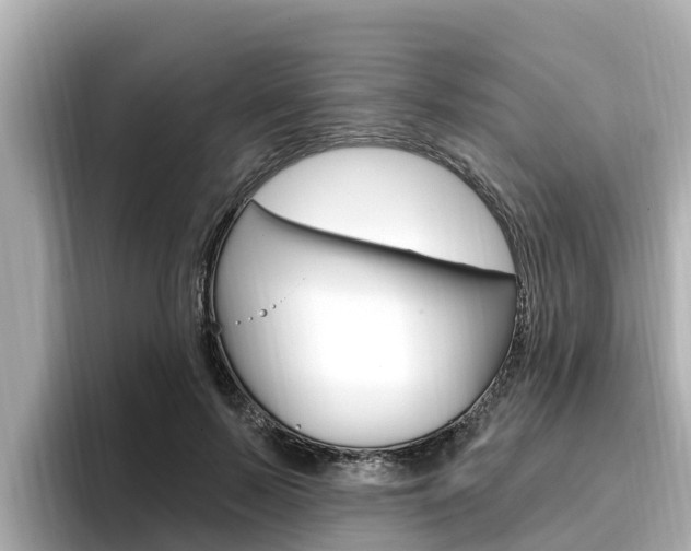 X0000096680695200802051030