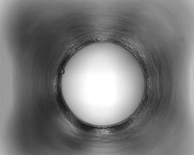 X0000096680698200802051030
