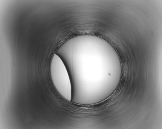 X0000096680699200802051030