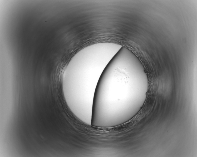X0000096680703200802051030