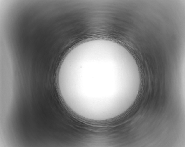 X0000096680705200802051030