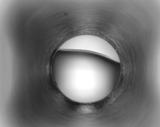 X0000096680708200802051030