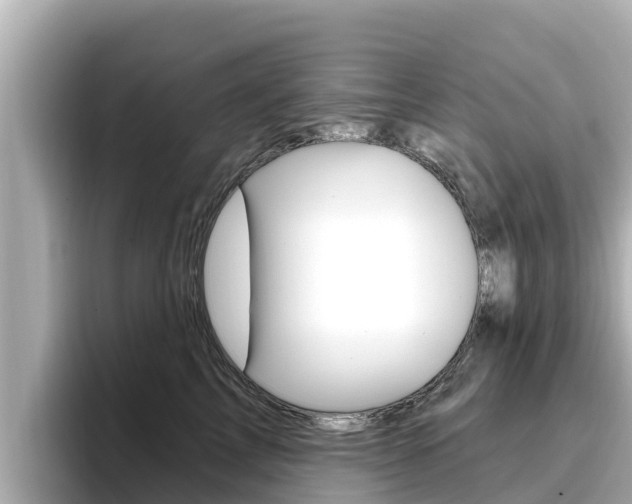 X0000096680713200802051030