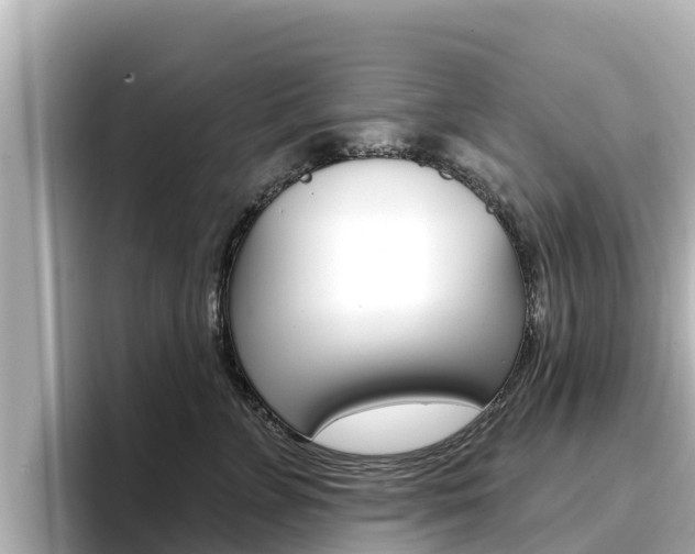 X0000096680715200802051030