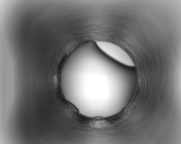 X0000096680716200802051030