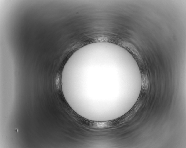X0000096680717200802051030