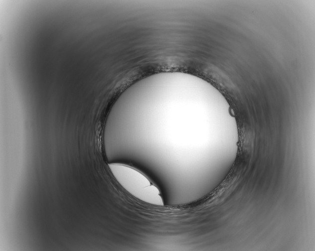 X0000096680719200802051030