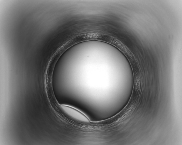 X0000096680722200802051029