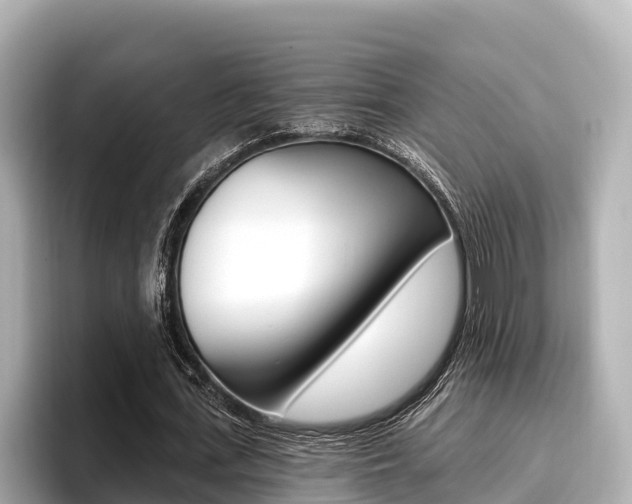 X0000096680723200802051029