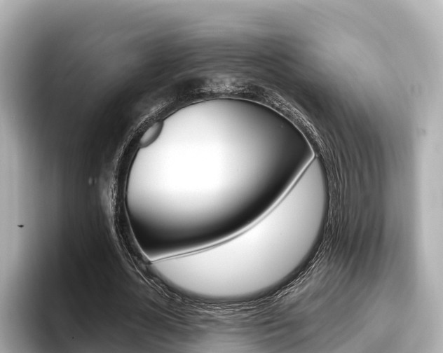 X0000096680724200802051029