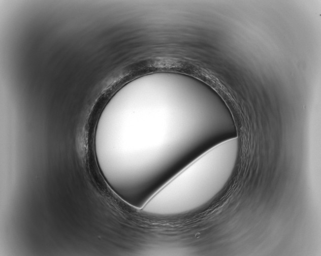 X0000096680727200802051029