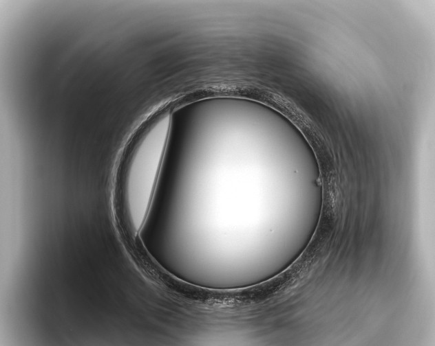 X0000096680728200802051029