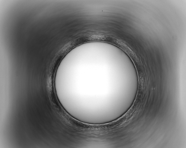 X0000096680729200802051029
