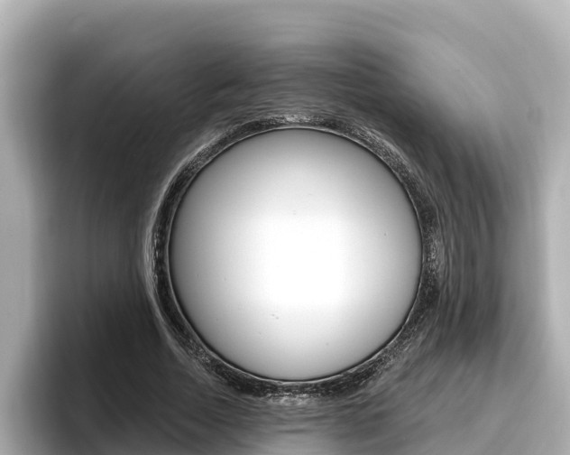 X0000096680730200802051029