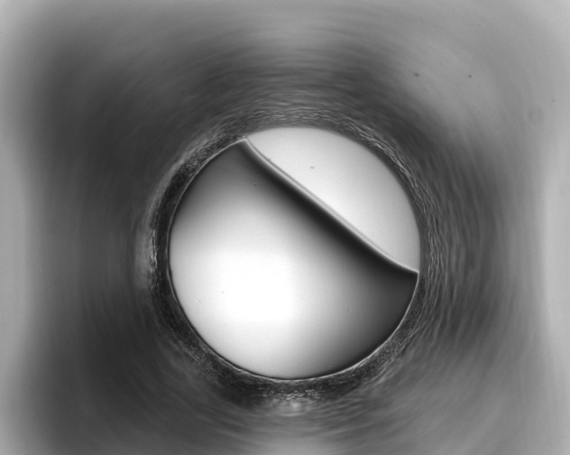 X0000096680731200802051029