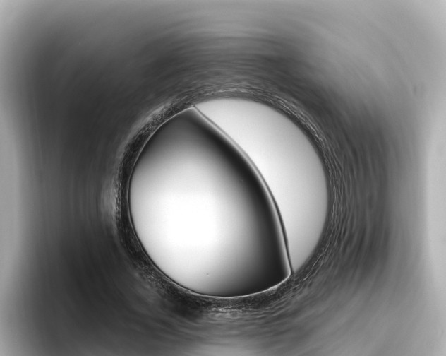 X0000096680732200802051029
